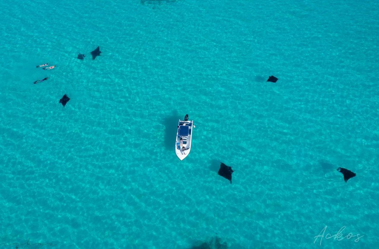 Coral Queen Villa, Ukulhas Exteriör bild